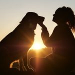 image site com animale dog-4494554_640